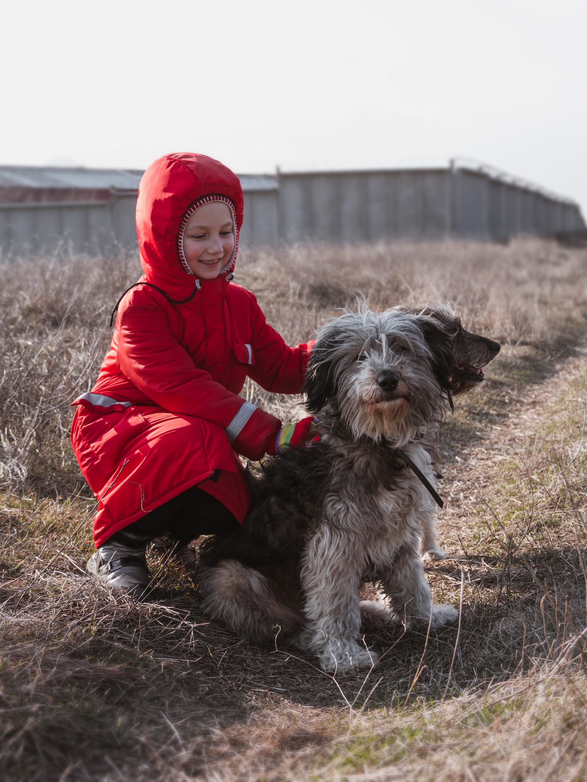 Flauschige Mini-Hunde: Die kleinen Lieblinge mit großem Charme